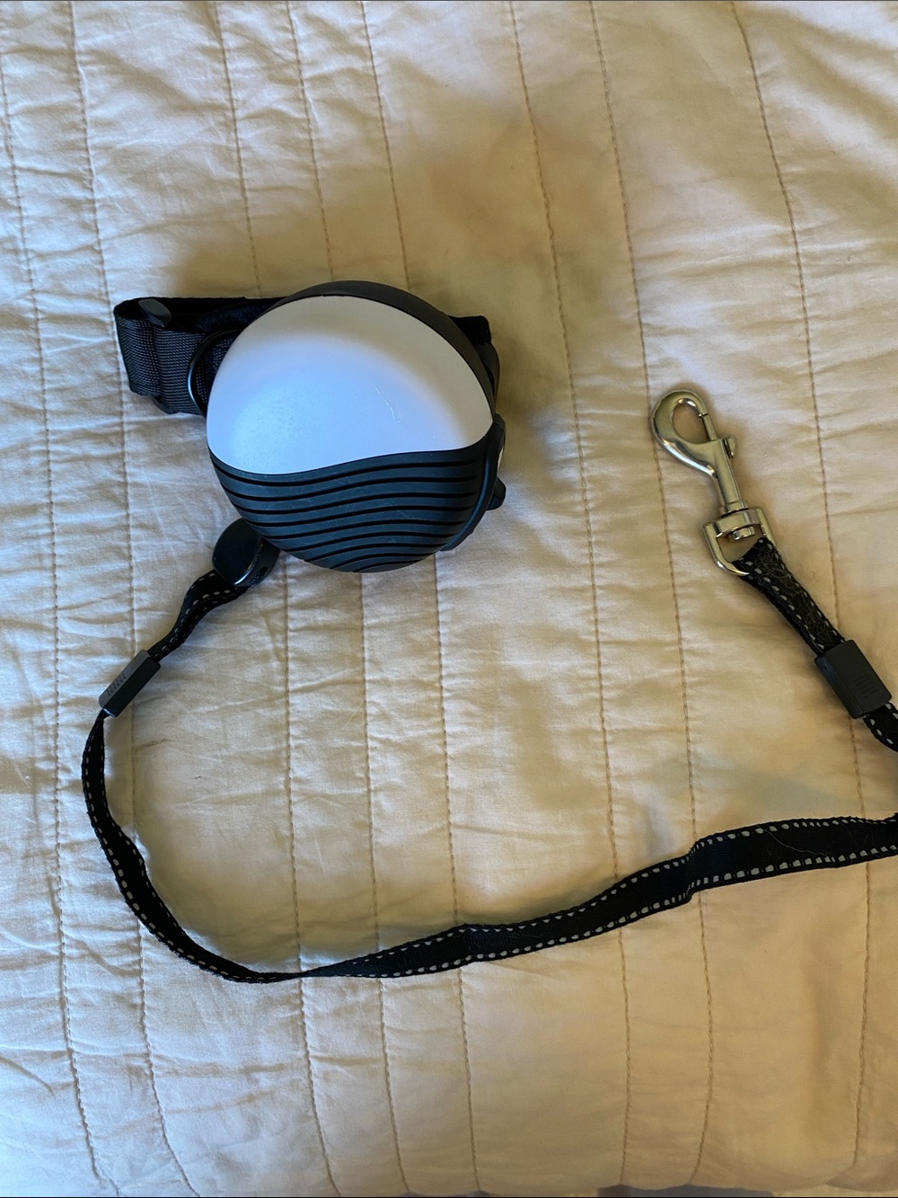 Retractable Dog Leash – Black & White